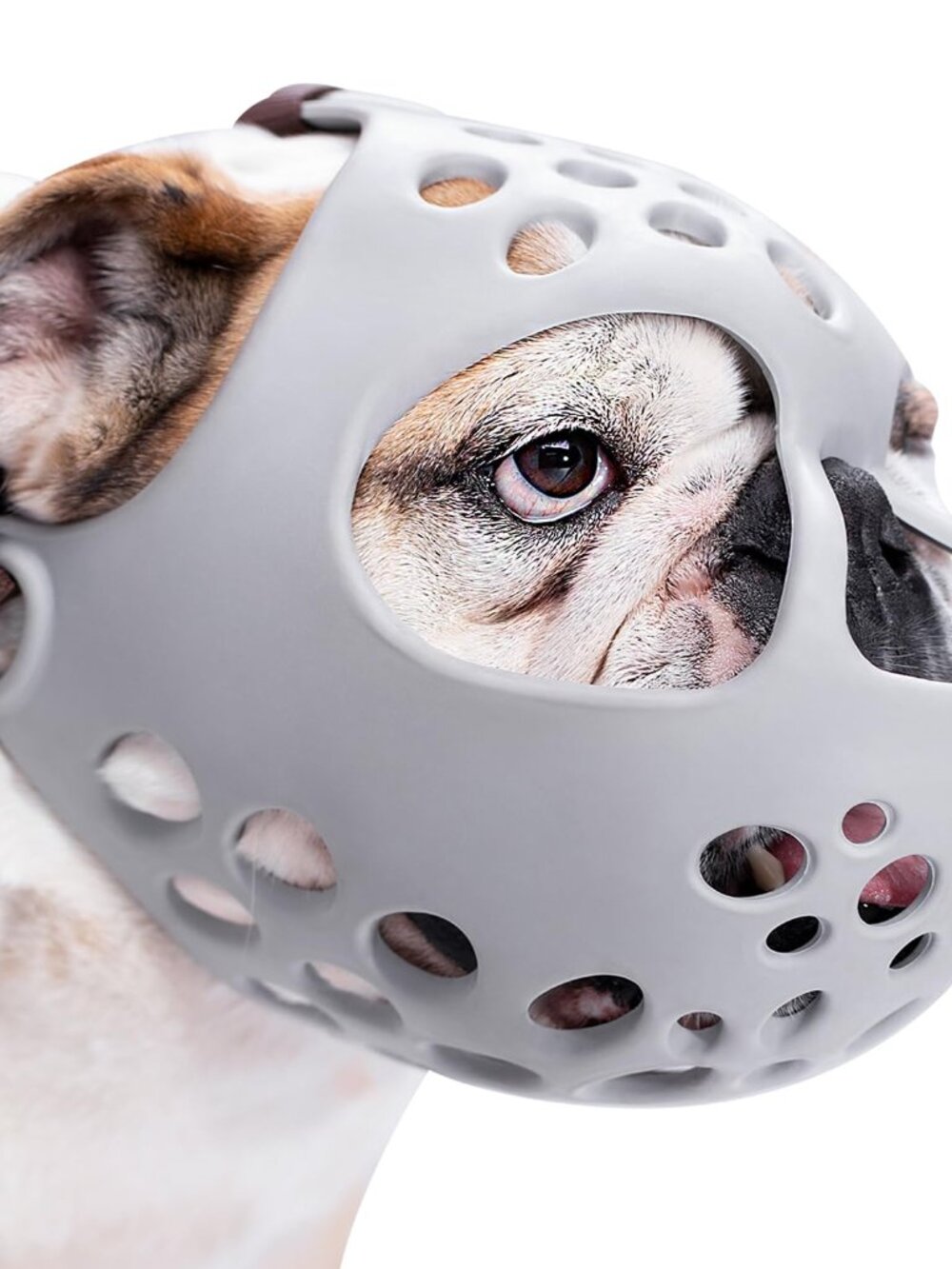BARKLESS Short Snout Dog Muzzle N6095